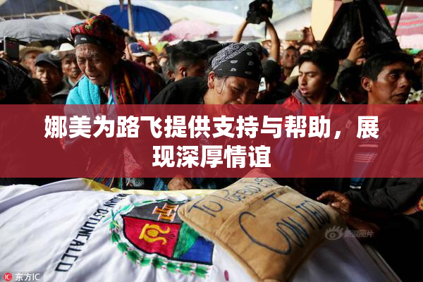 娜美为路飞提供支持与帮助，展现深厚情谊