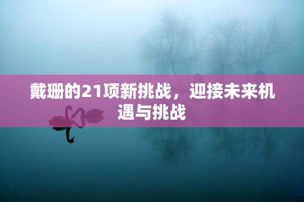 戴珊的21项新挑战，迎接未来机遇与挑战