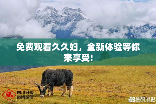 免费观看久久妇，全新体验等你来享受!