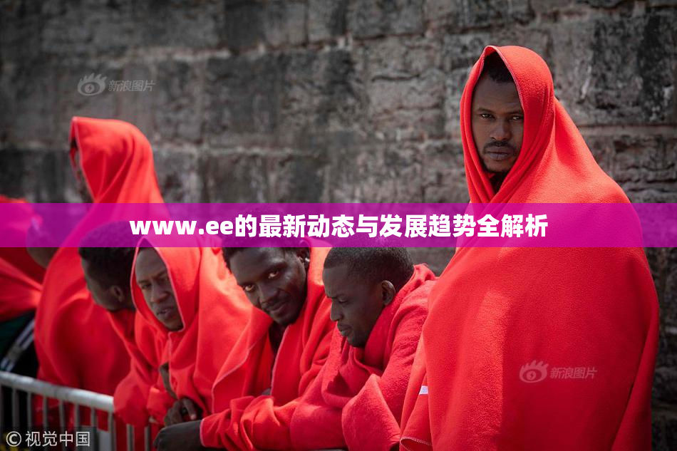 www.ee的最新动态与发展趋势全解析