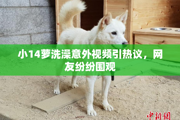 小14萝洗澡意外视频引热议，网友纷纷围观