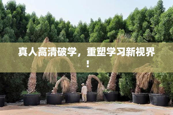 真人高清破学，重塑学习新视界！