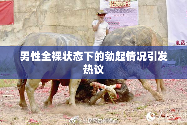 男性全裸状态下的勃起情况引发热议
