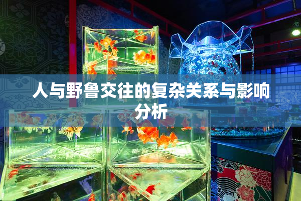 人与野鲁交往的复杂关系与影响分析