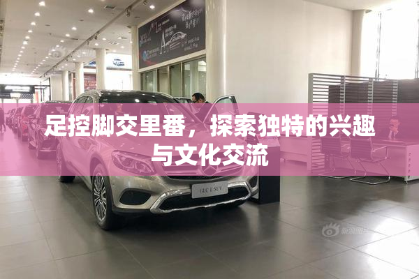 足控脚交里番，探索独特的兴趣与文化交流