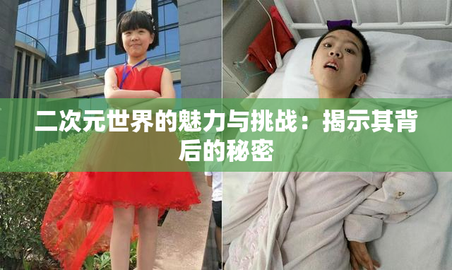 二次元世界的魅力与挑战：揭示其背后的秘密
