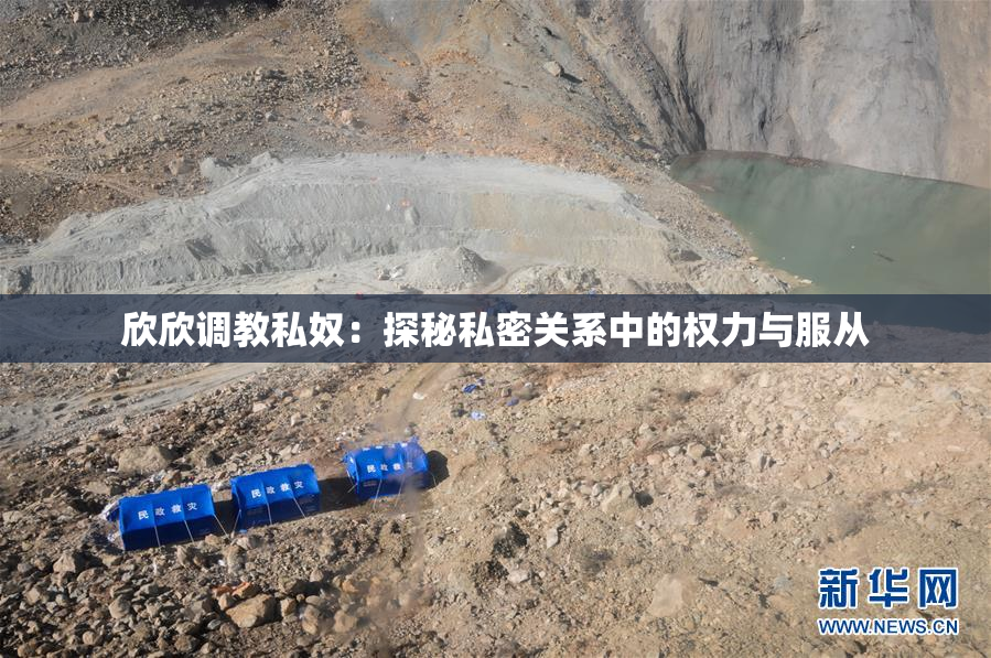 欣欣调教私奴：探秘私密关系中的权力与服从