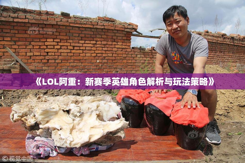 《LOL阿重：新赛季英雄角色解析与玩法策略》