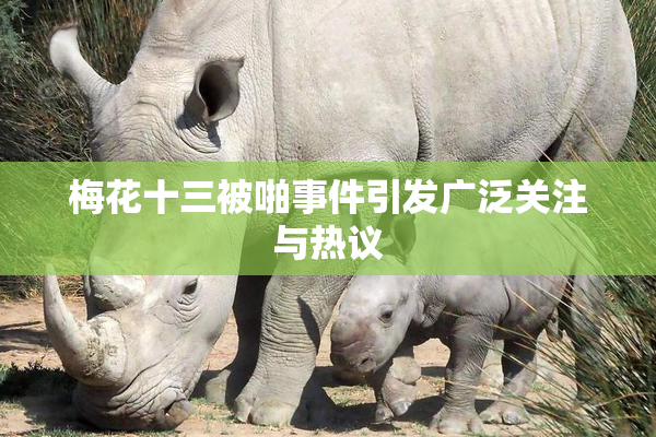梅花十三被啪事件引发广泛关注与热议