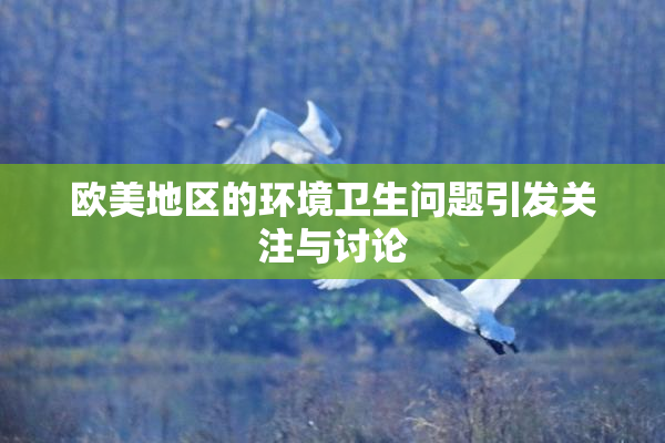 欧美地区的环境卫生问题引发关注与讨论