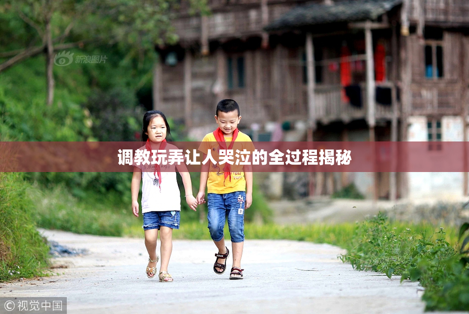 调教玩弄让人哭泣的全过程揭秘