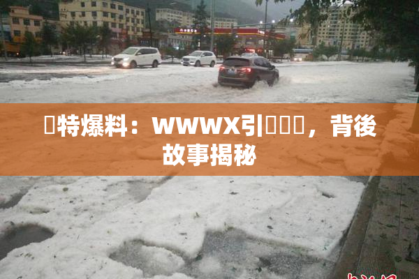獨特爆料：WWWX引發熱議，背後故事揭秘