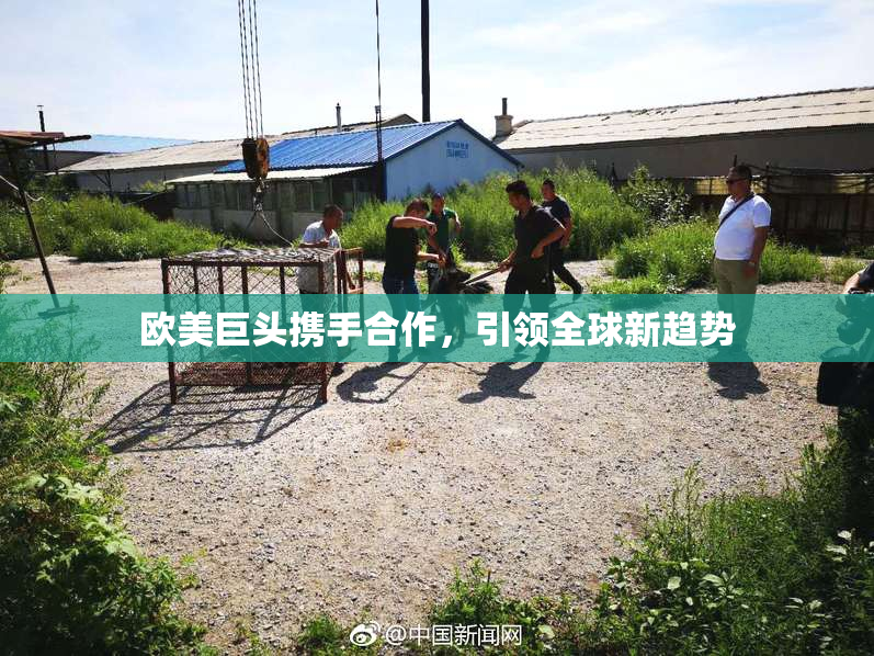 欧美巨头携手合作，引领全球新趋势