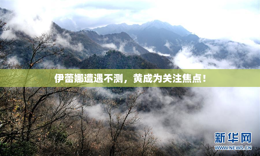 伊蕾娜遭遇不测，黄成为关注焦点！