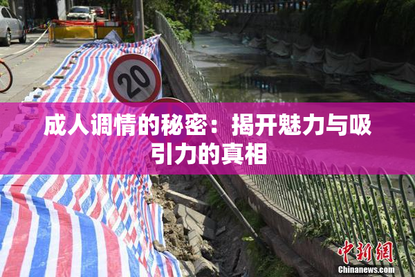 成人调情的秘密：揭开魅力与吸引力的真相