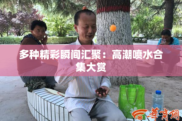 多种精彩瞬间汇聚：高潮喷水合集大赏