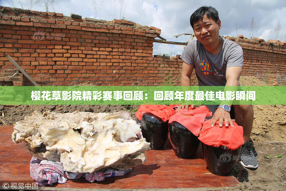 樱花草影院精彩赛事回顾：回顾年度最佳电影瞬间