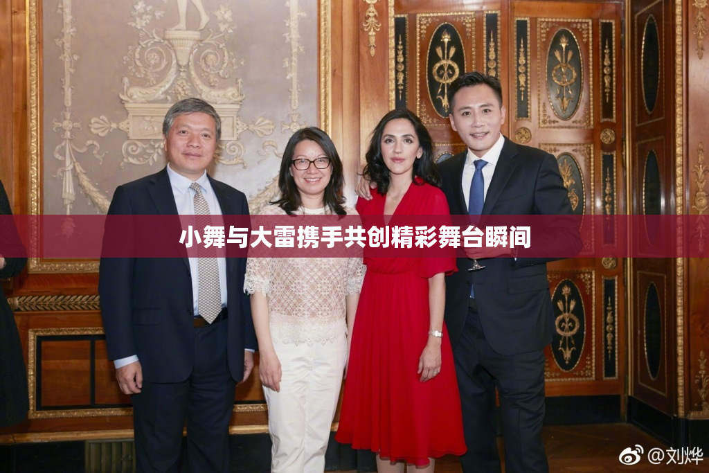 小舞与大雷携手共创精彩舞台瞬间