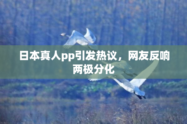 日本真人pp引发热议，网友反响两极分化
