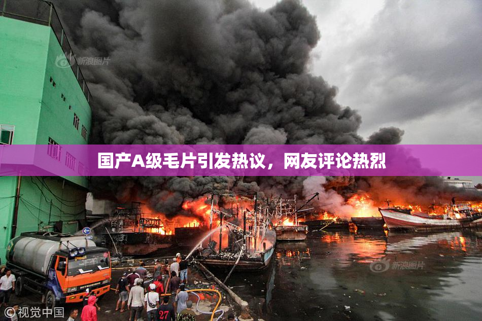 国产A级毛片引发热议，网友评论热烈