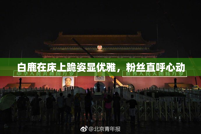 白鹿在床上跪姿显优雅，粉丝直呼心动
