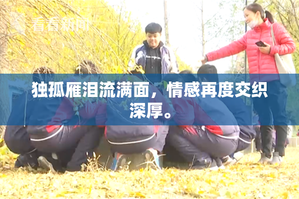 独孤雁泪流满面，情感再度交织深厚。