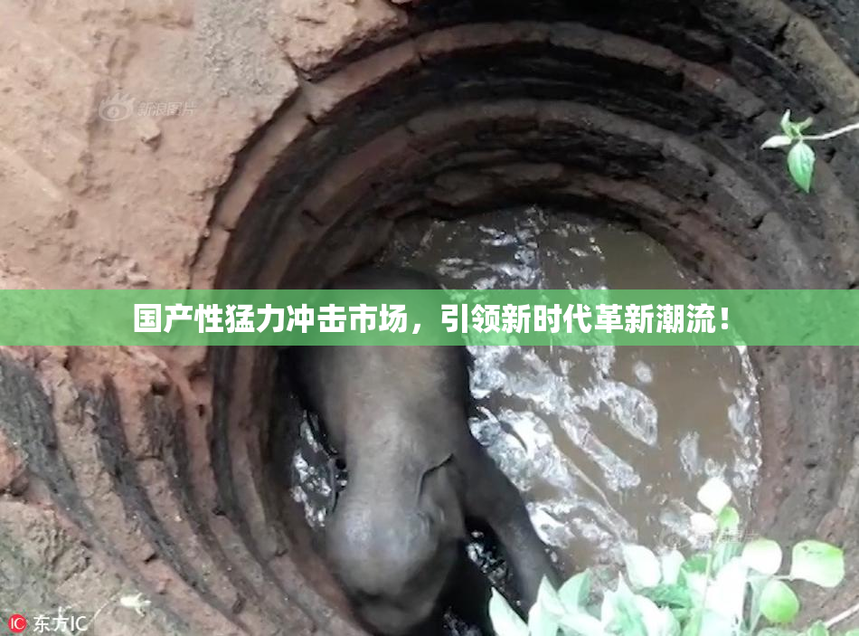 国产性猛力冲击市场，引领新时代革新潮流！