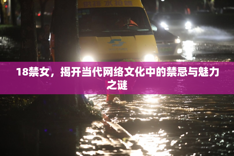 18禁女，揭开当代网络文化中的禁忌与魅力之谜