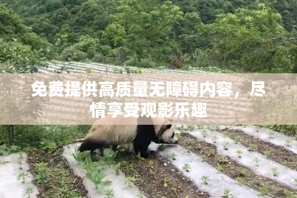 免费提供高质量无障碍内容，尽情享受观影乐趣