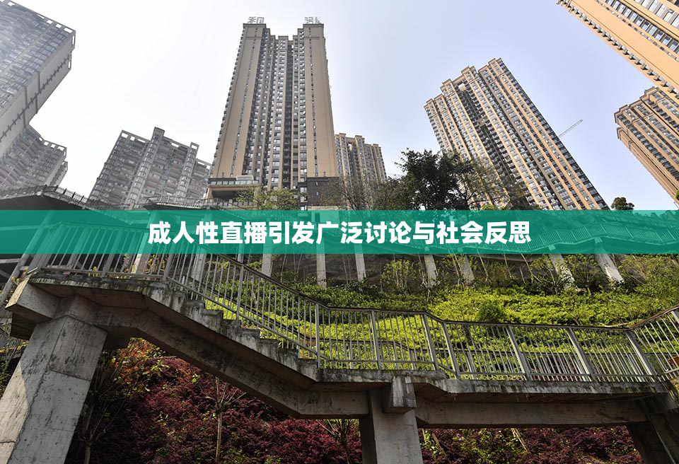 成人性直播引发广泛讨论与社会反思