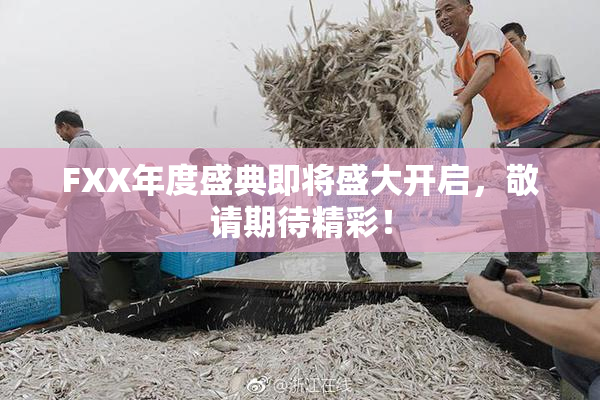 FXX年度盛典即将盛大开启，敬请期待精彩！