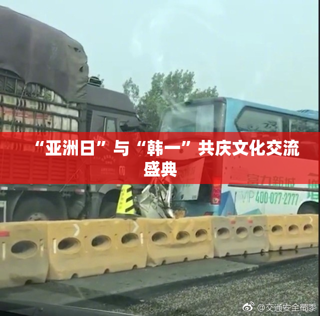 “亚洲日”与“韩一”共庆文化交流盛典