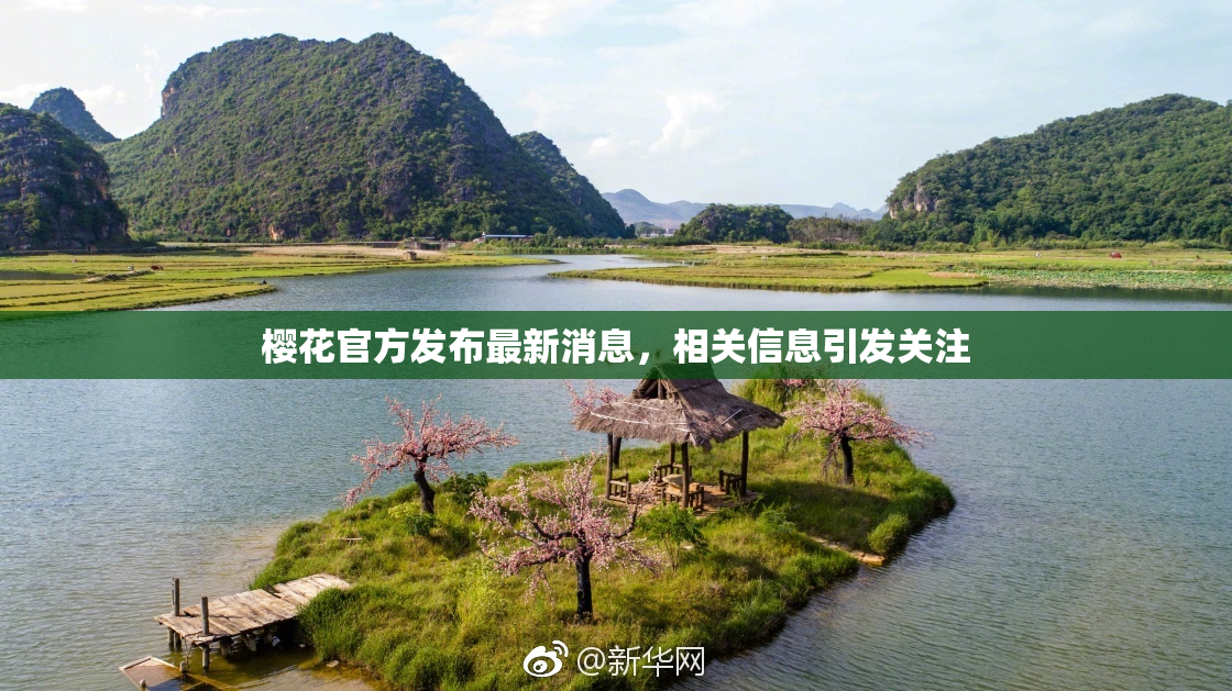 樱花官方发布最新消息，相关信息引发关注