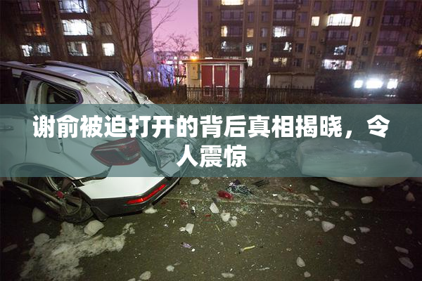 谢俞被迫打开的背后真相揭晓，令人震惊