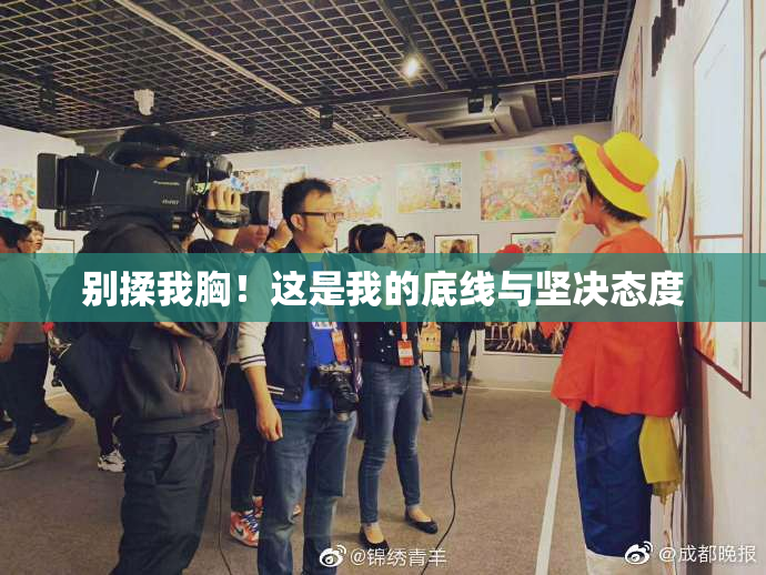 别揉我胸！这是我的底线与坚决态度