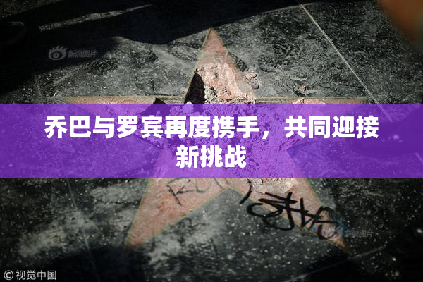 乔巴与罗宾再度携手，共同迎接新挑战