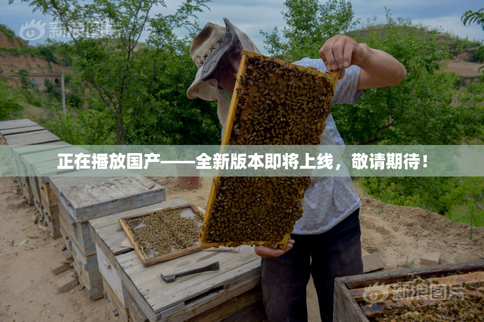 正在播放国产——全新版本即将上线，敬请期待！
