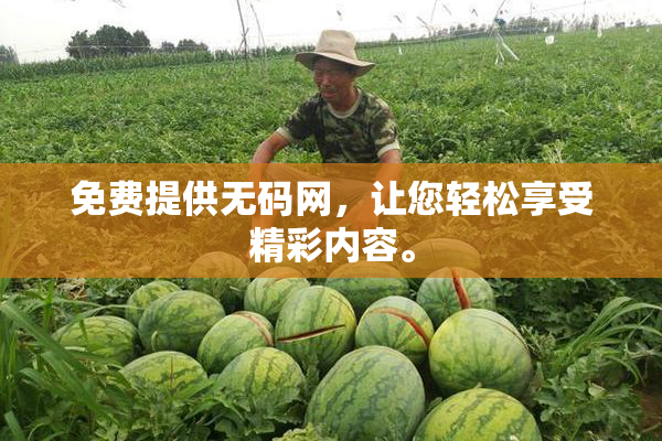 免费提供无码网，让您轻松享受精彩内容。