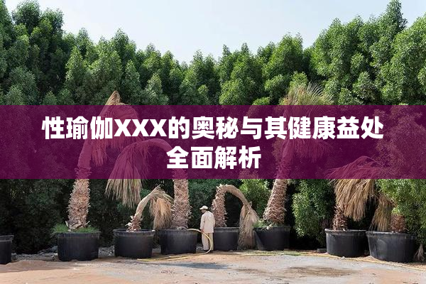 性瑜伽XXX的奥秘与其健康益处全面解析