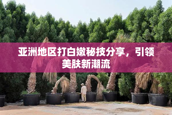 亚洲地区打白嫩秘技分享，引领美肤新潮流