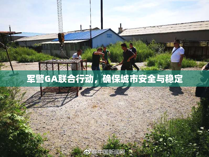 军警GA联合行动，确保城市安全与稳定