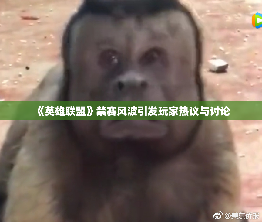 《英雄联盟》禁赛风波引发玩家热议与讨论