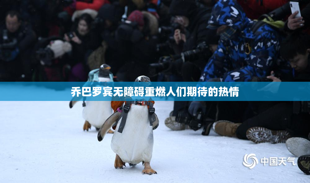 乔巴罗宾无障碍重燃人们期待的热情