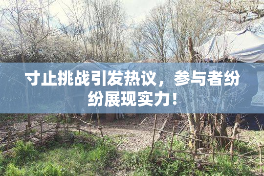 寸止挑战引发热议，参与者纷纷展现实力！