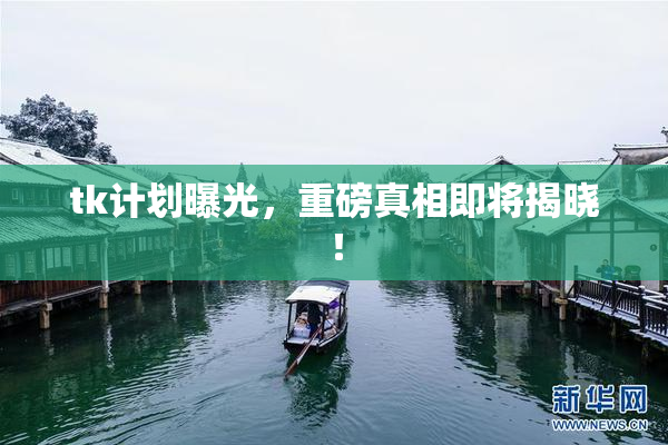 tk计划曝光，重磅真相即将揭晓！