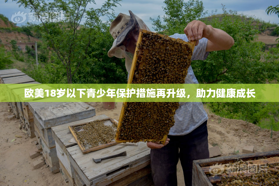 欧美18岁以下青少年保护措施再升级，助力健康成长