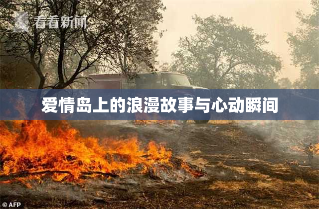 爱情岛上的浪漫故事与心动瞬间