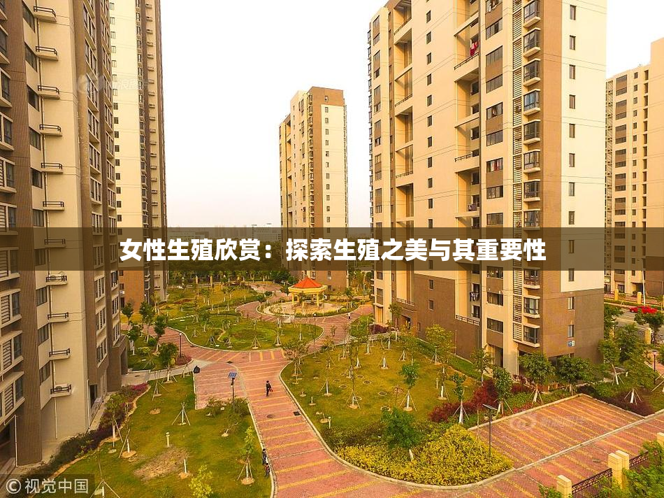 女性生殖欣赏：探索生殖之美与其重要性