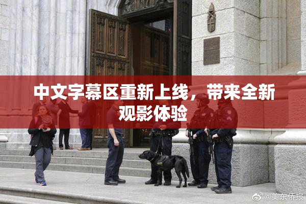 中文字幕区重新上线，带来全新观影体验