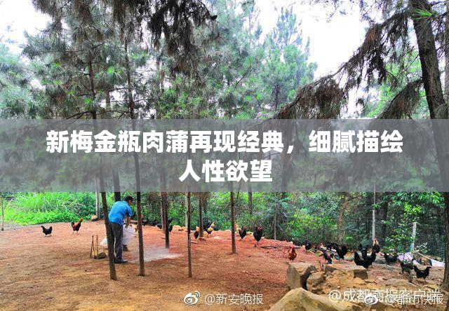 新梅金瓶肉蒲再现经典，细腻描绘人性欲望